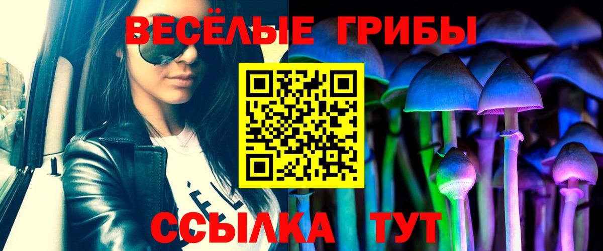 Псилоцибиновые грибы Psilocybine cubensis  Вход с VPN  Саяногорск  Псилоцибиновые грибы MAGIC MUSHROOMS 